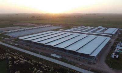 Nuevo Mercado deHacienda de Cañuelas